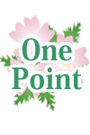 ポイント